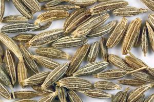 Cumin seeds, the small ridged dried fruits of the cumin plant