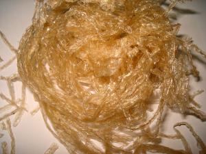 Dried agar strands, a common gelling agent made from seaweed