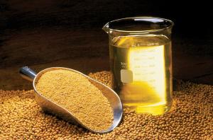 Soybean oil in a beaker on soybeans, with a scoop of soybean meal