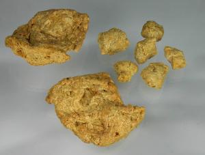 Textured soy protein chunks, made from soybean protein