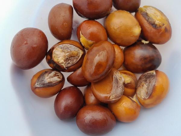 เมล็ดเชีย แหล่งของไขมันเชียที่ผสมกับไขมันปาล์ม